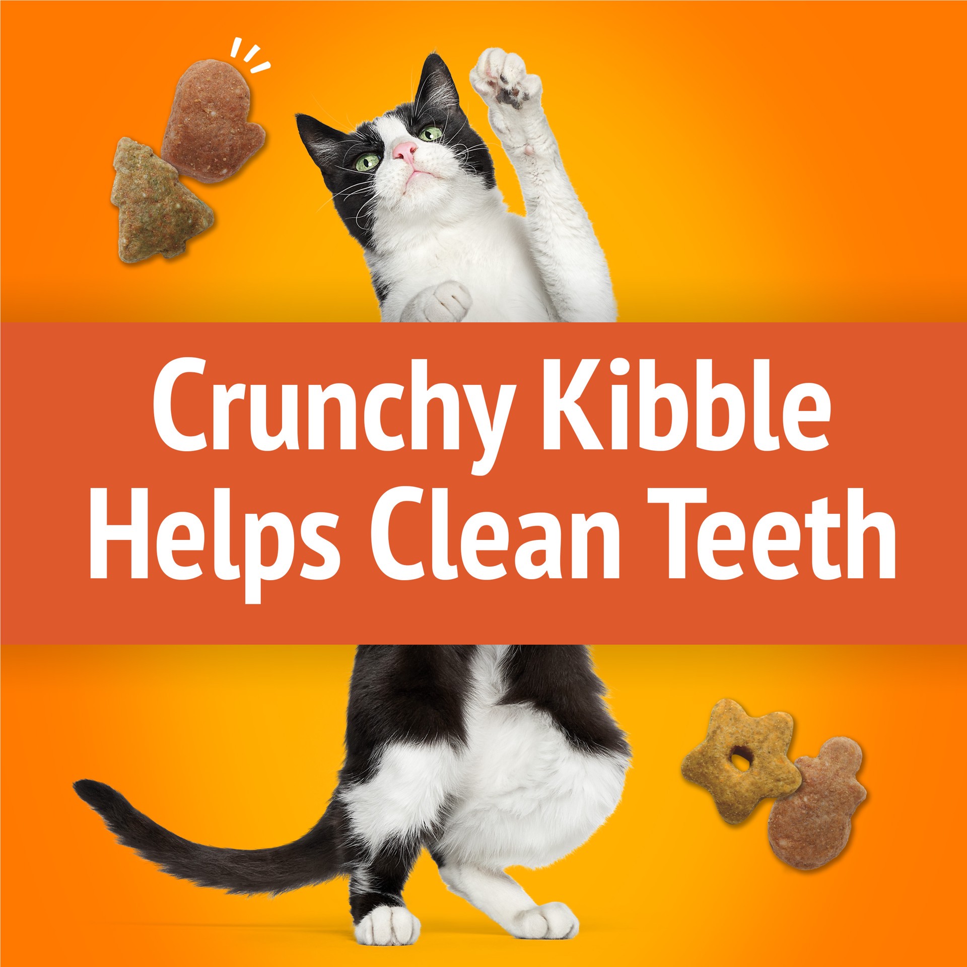 slide 5 of 9, Friskies Purina Friskies Made in USA Facilities Cat Treats, Original Crunch & Beachside Crunch Variety Pack, 40 oz