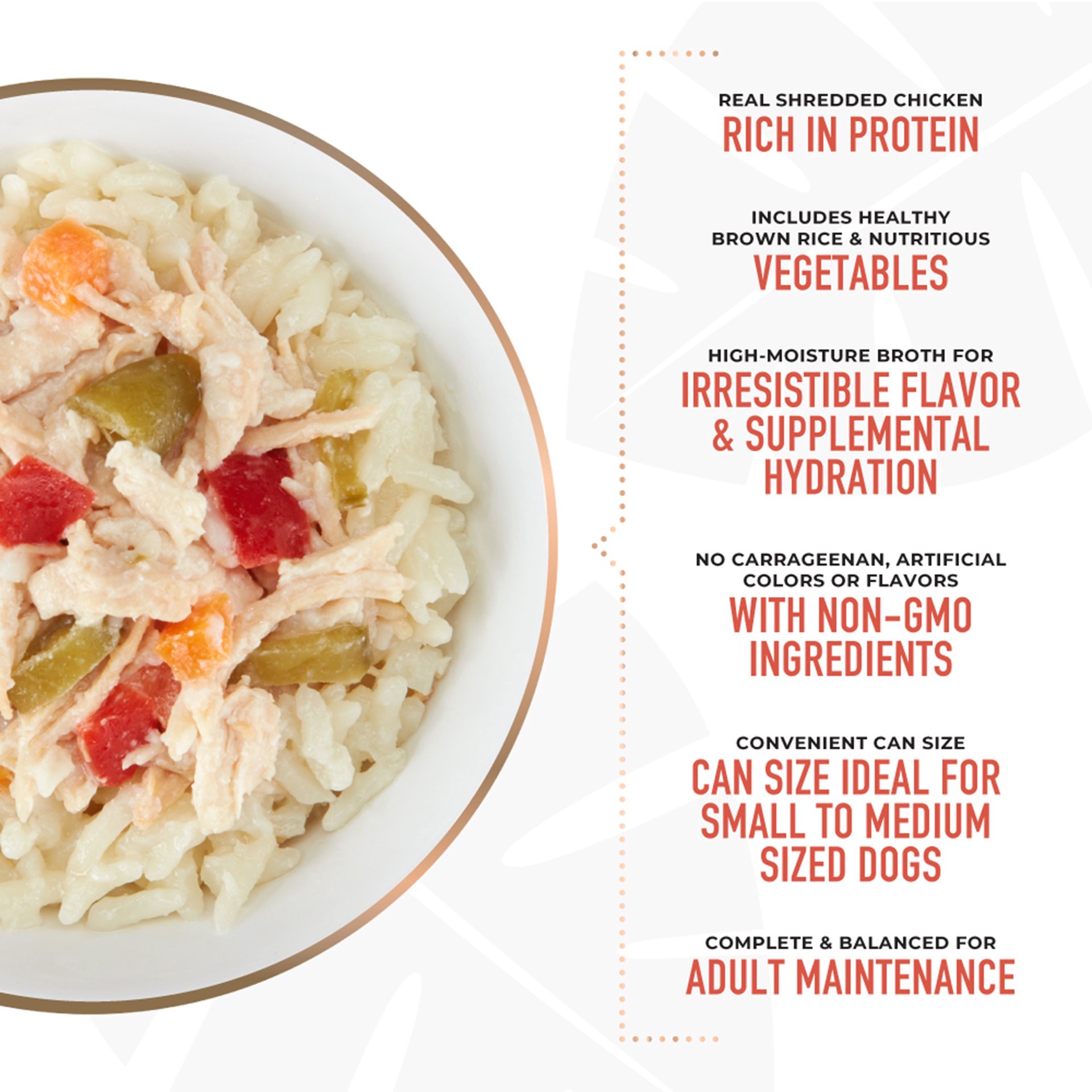 slide 3 of 6, Tiki Dog Taste of the World Asia Chicken & Snow Peas Stir Fry Wet Dog Food, 9 oz., 1 ct