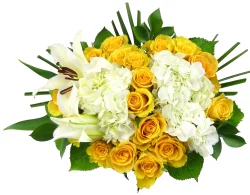 BLOOM HAUS Noble Yellow Rose Boquet