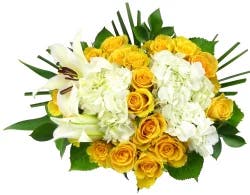 BLOOM HAUS Noble Yellow Rose Boquet