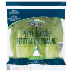 Pacific Petite Romaine Lettuce Heads