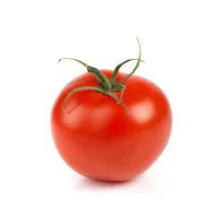 Tomatoes on the Vine