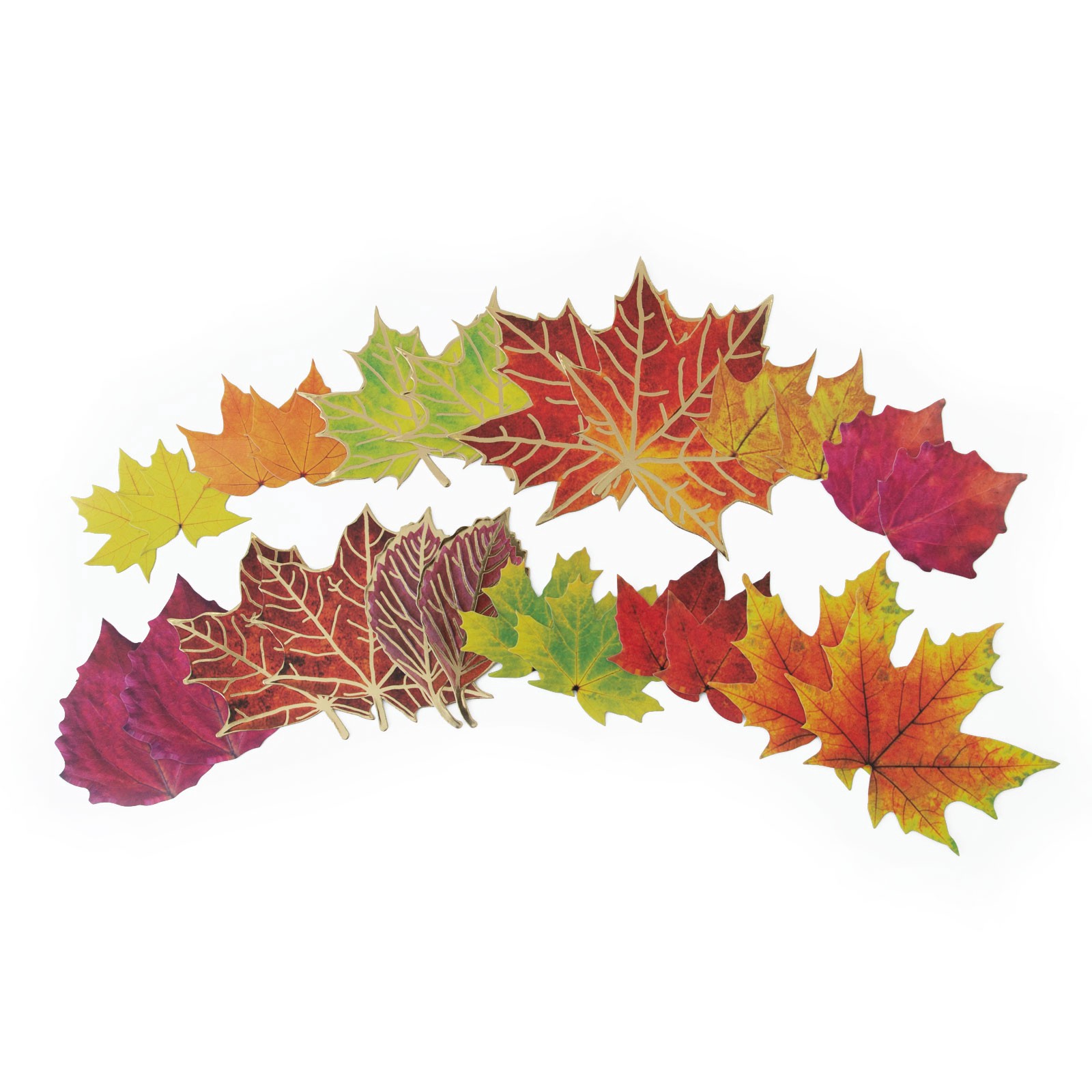 slide 3 of 5, Fall Leaf Die Cut Stickers By Recollections, 4 in x 6 in
