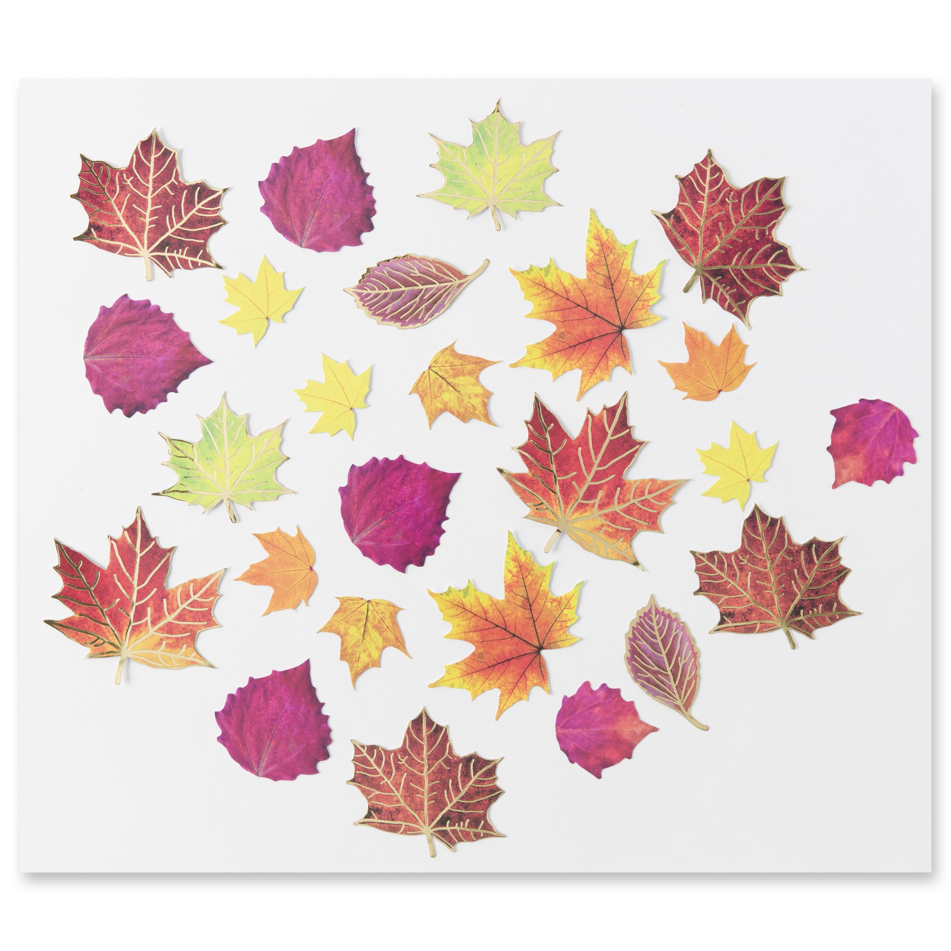 slide 5 of 5, Fall Leaf Die Cut Stickers By Recollections, 4 in x 6 in