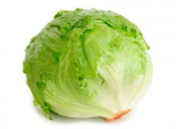 Org Iceberg Lettuce