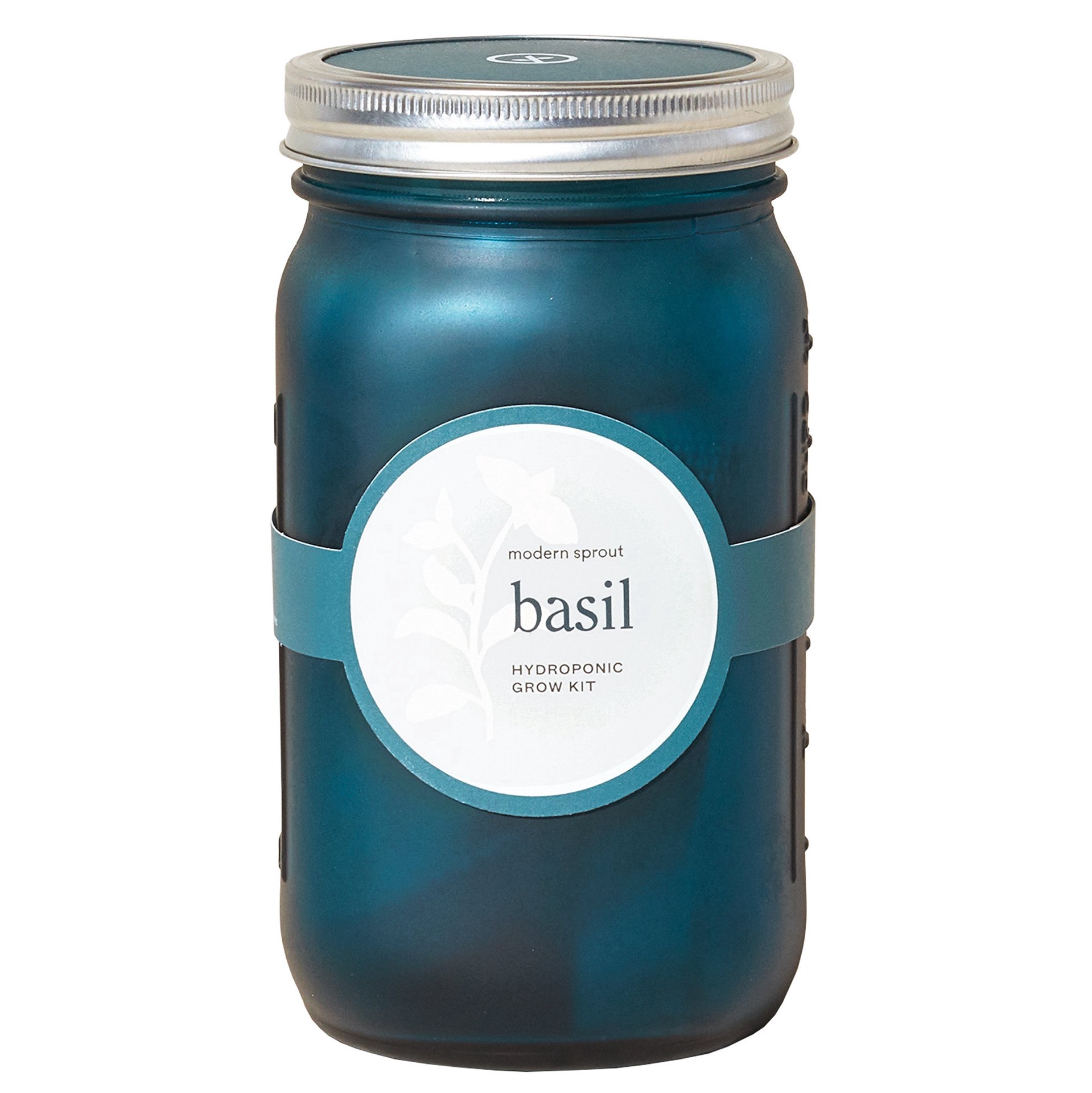 slide 1 of 1, Modern Sprout Organic Basil Hydroponic Grow Kit Garden Jar, 1 ct