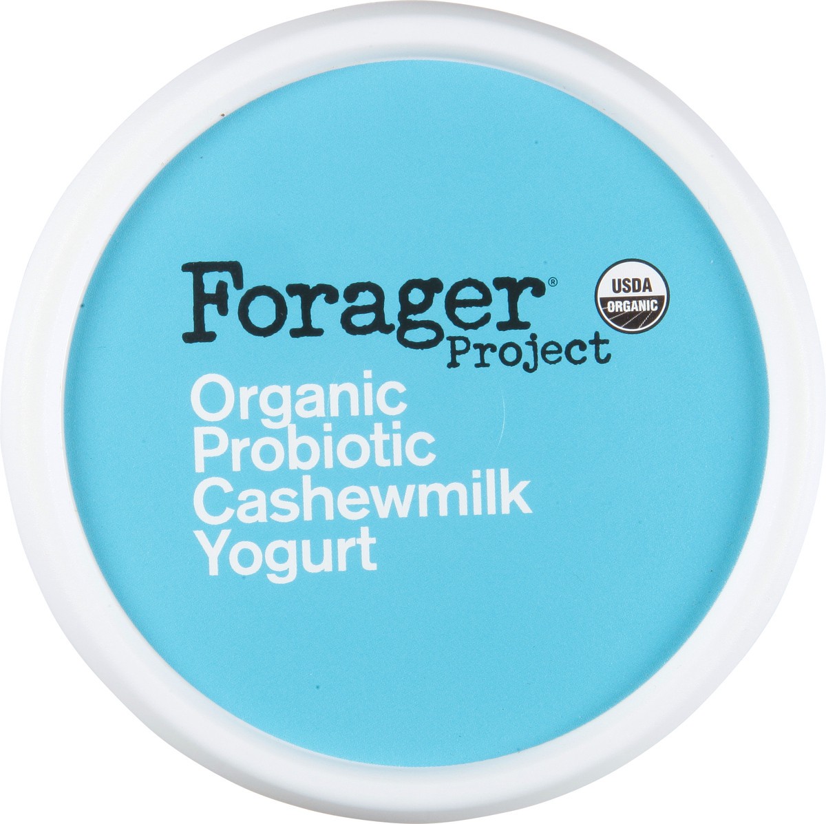 slide 12 of 14, Forager Project Dairy-Free Organic Unsweetened Plain Cashewmilk Yogurt 24 oz, 24 fl oz