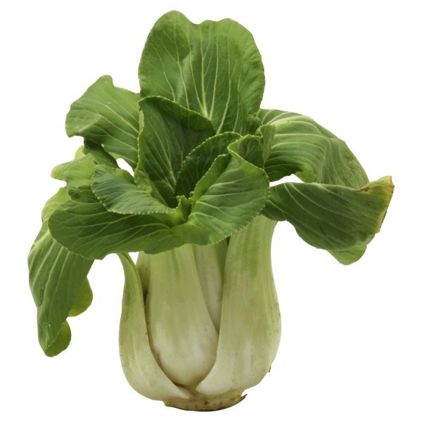 slide 1 of 1, Baby Bok Choy, 1 ct