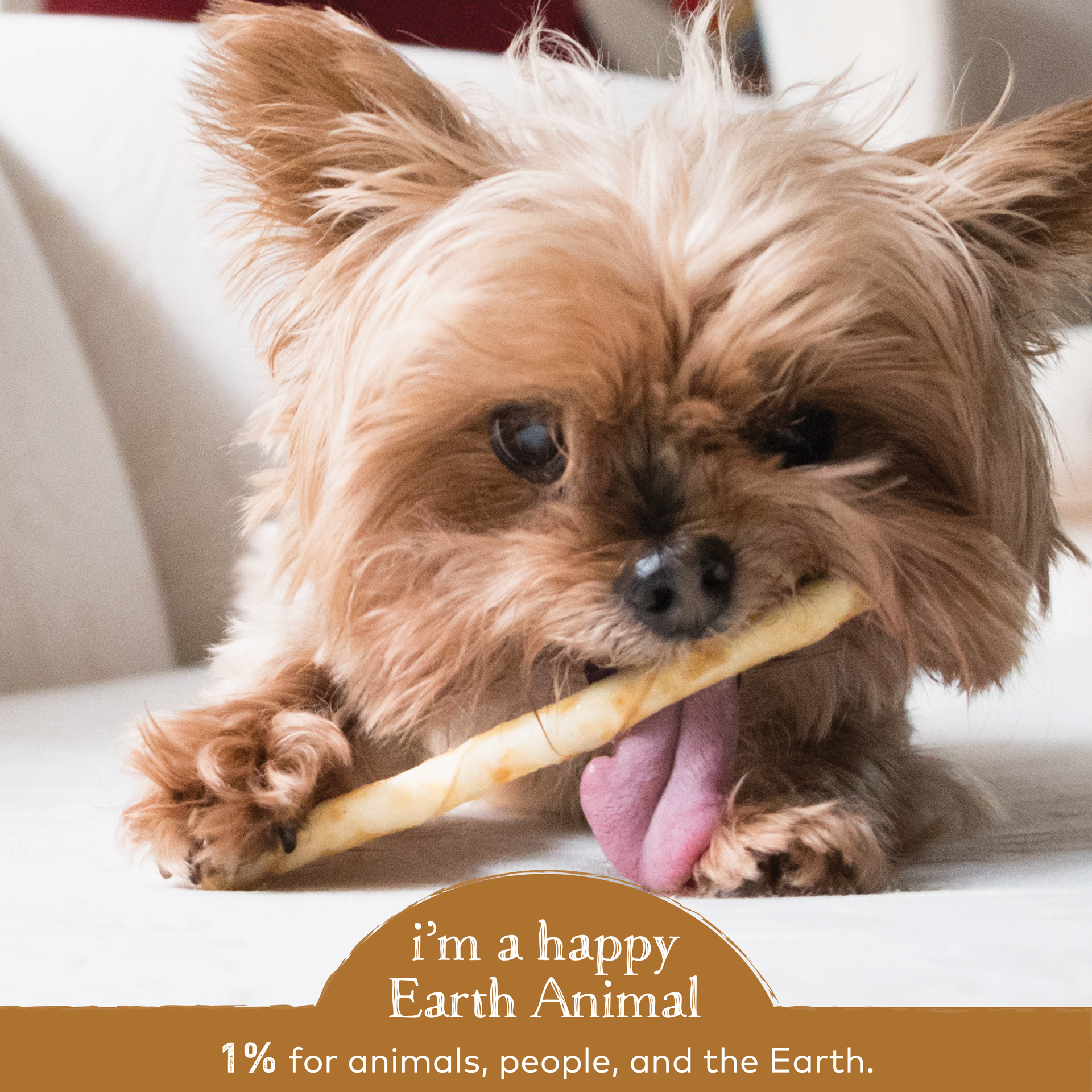 slide 2 of 4, Earth Animal No-Hide Grass-Fed Venison Stix Natural Rawhide Alternative Dog & Cat Chews, 10 Pack, 1 ct