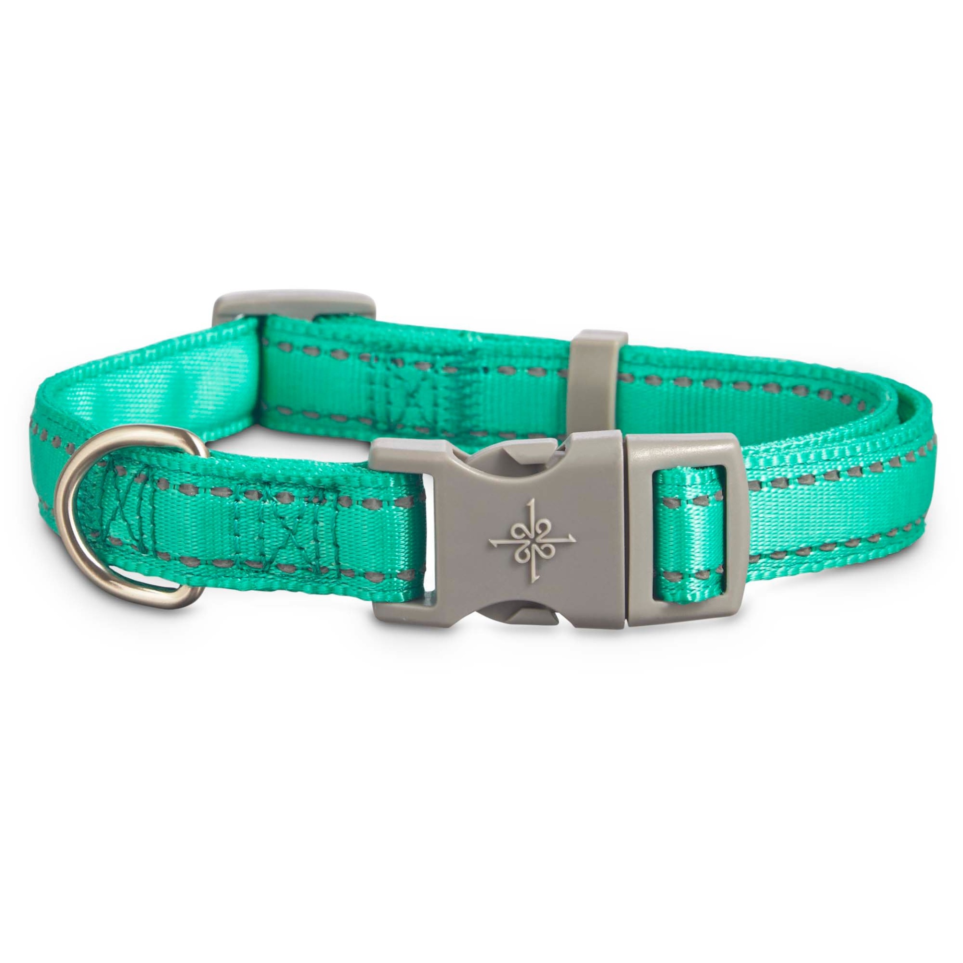 slide 1 of 1, Good2Go Reflective Adjustable Padded Dog Collar in Turquoise, MED