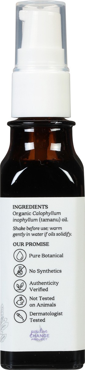 slide 2 of 12, Aura Cacia Tamanu Oil Certified Organic, 1 oz