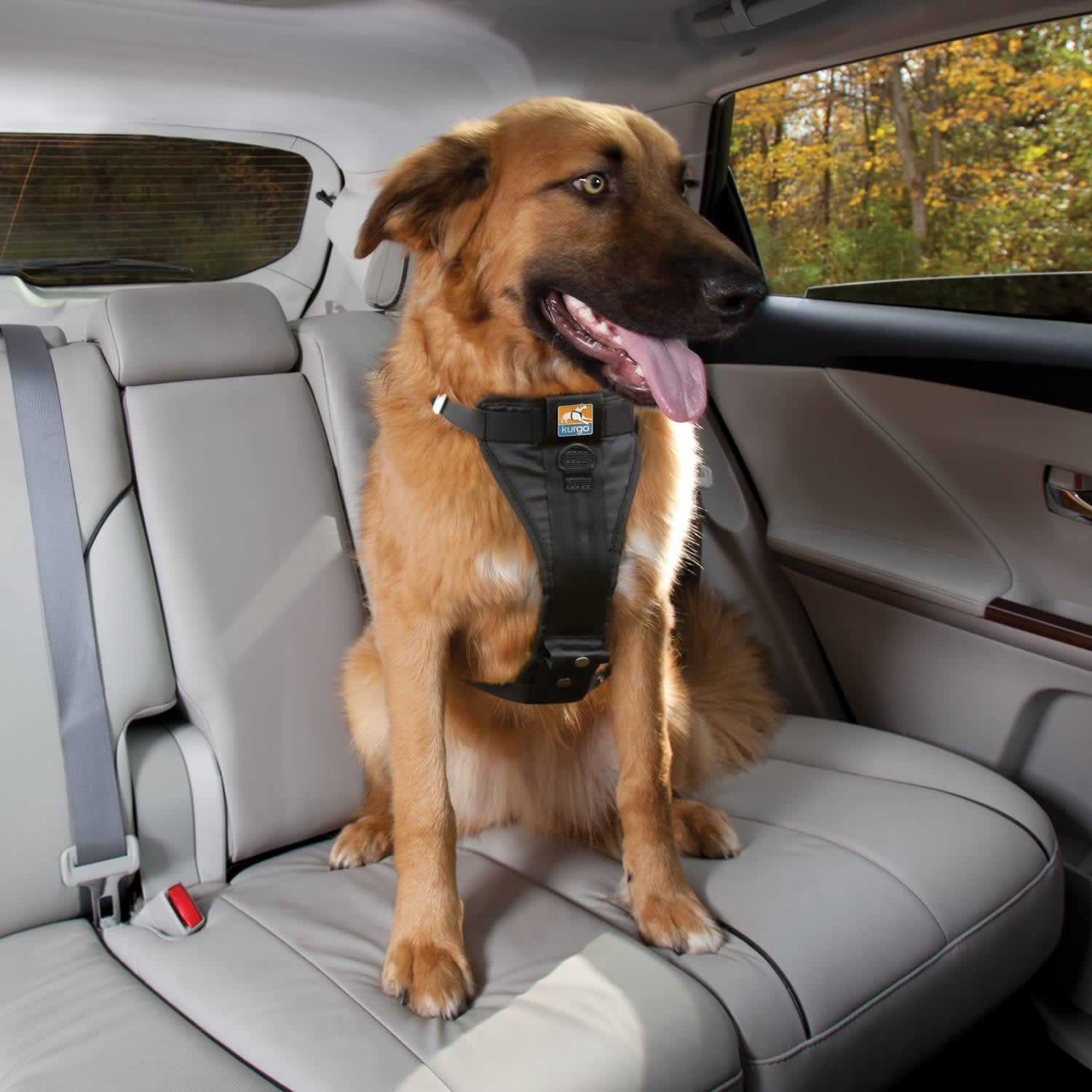 slide 1 of 1, Kurgo Black Tru-Fit Crash Tested Dog Car Harness, MED