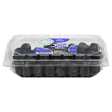slide 1 of 1, Jumbo Blueberries Prepackaged - 9.8 Oz., 1 ct