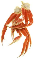 IQF Alaska Snow Crab Clusters