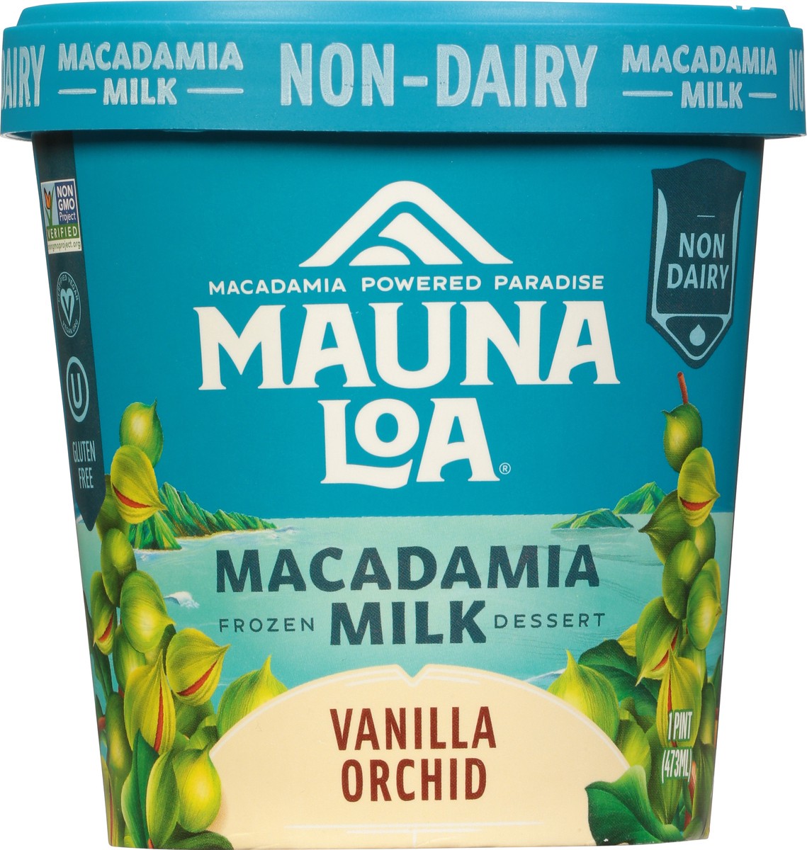 slide 6 of 9, Mauna Loa Non Dairy Macadamia Milk Vanilla Orchid Frozen Dessert 1 pt, 1 pint