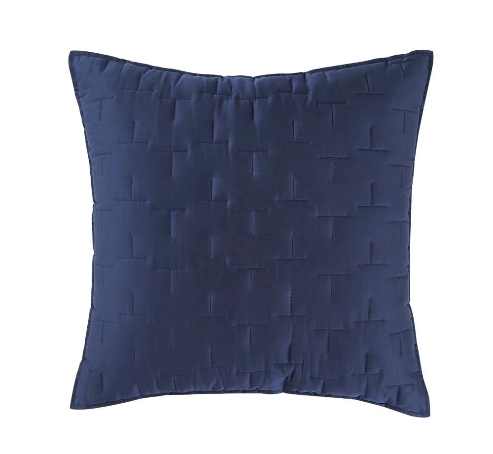 slide 1 of 1, Modavari Home Fashions Euro Pillow - Blue, 1 ct