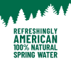 slide 22 of 22, Poland Spring Origin, 100% Natural Spring Water, 900mL recycled plastic bottle, 30.4 oz