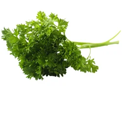 Organic Curly Parsley