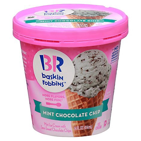 slide 1 of 1, Baskin Robbins Ice Cream Mint Chocolate Chip - 14 Fl. Oz., 14 fl oz