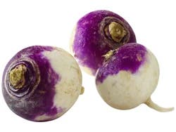 Purple Top Turnip