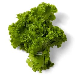 Mustard Greens