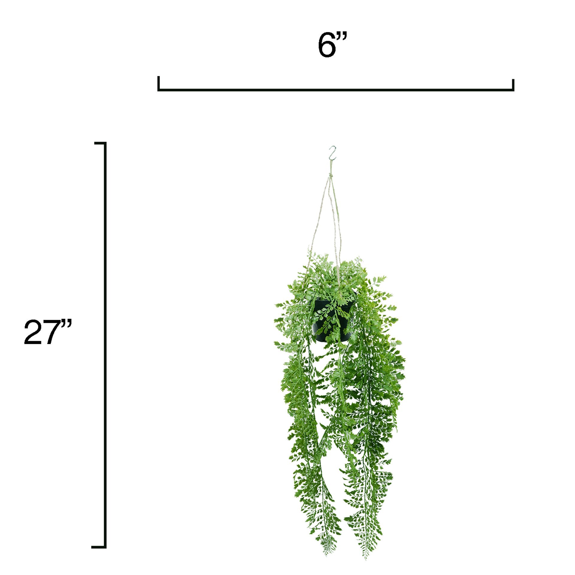 slide 4 of 4, 27" Hanging Potted Fern Plant By Ashland, 4.25 in x 4.25 in x 27 in