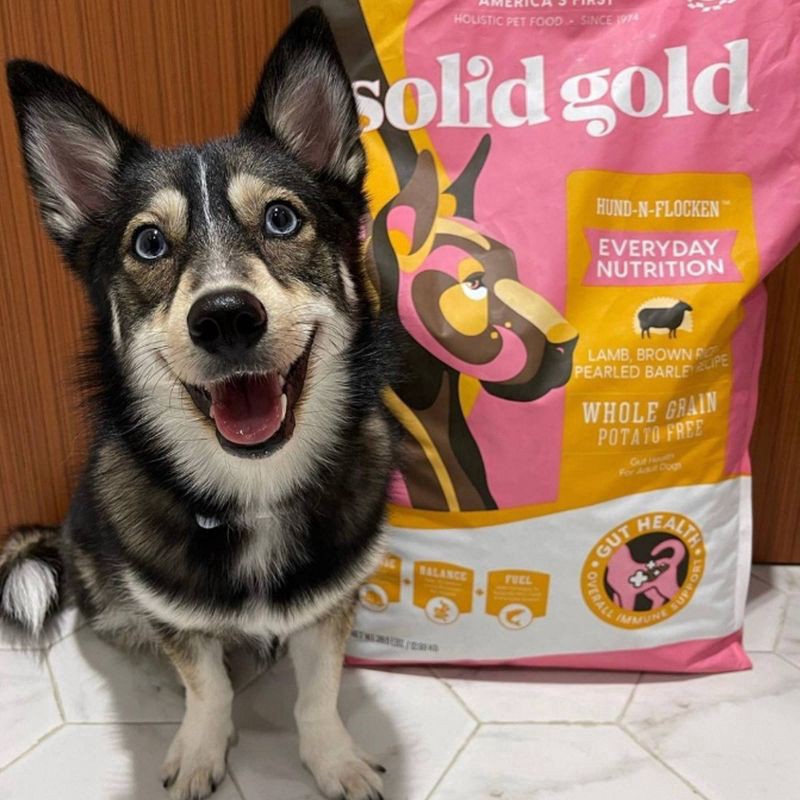 slide 5 of 6, Solid Gold Hund-n-Flocken Everyday Nutrition All Ages Dry Dog Food with Lamb Flavor - 4lbs, 4 lb