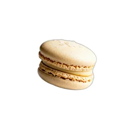 Salted Caramel Macaron