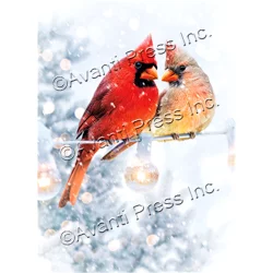 Avanti Boxed Christmas Cards Christmas Cardinals