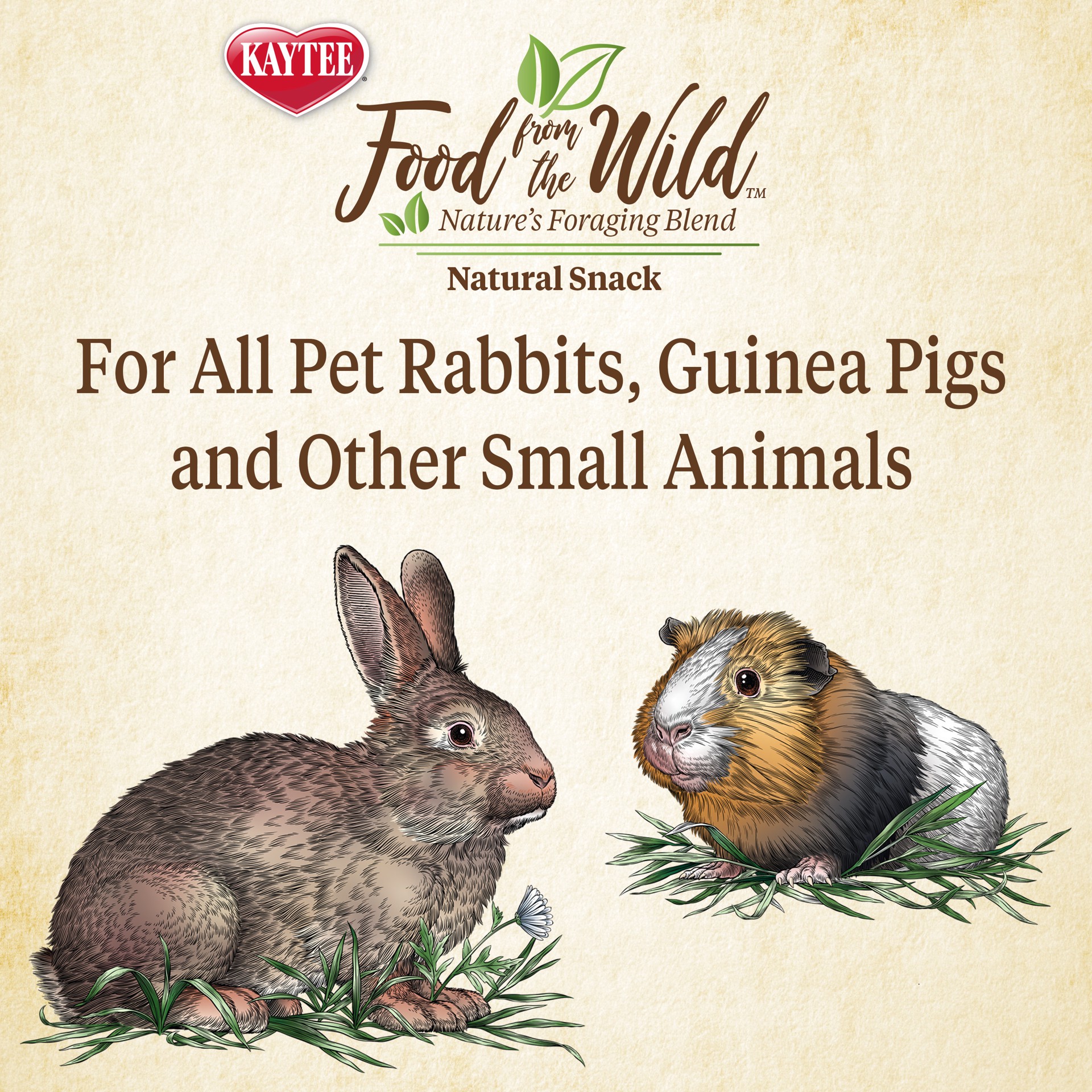 slide 5 of 10, Kaytee Food From the Wild Natural Snack Rabbit and Guinea Pig 1 Ounce, 1 ct