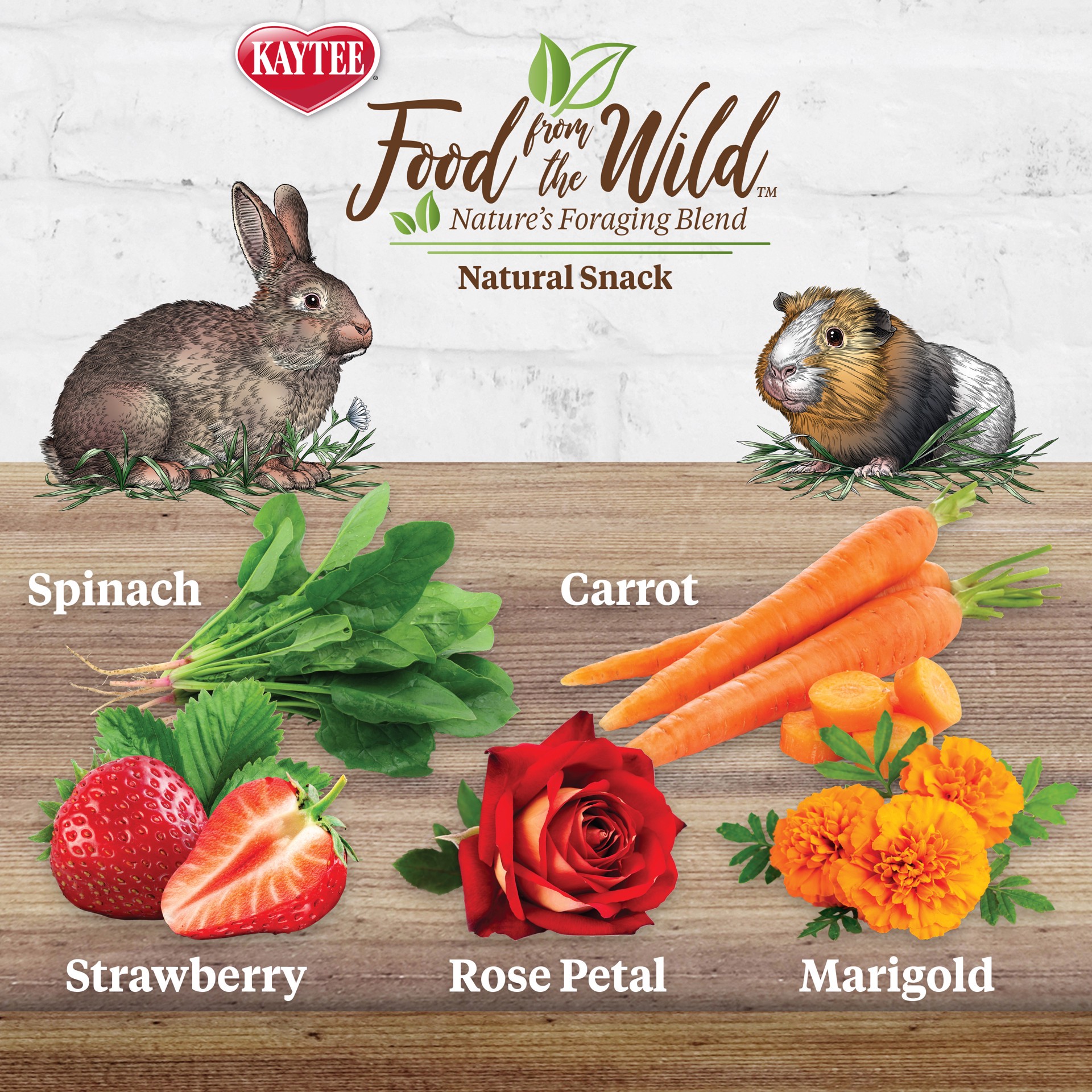 slide 4 of 10, Kaytee Food From the Wild Natural Snack Rabbit and Guinea Pig 1 Ounce, 1 ct