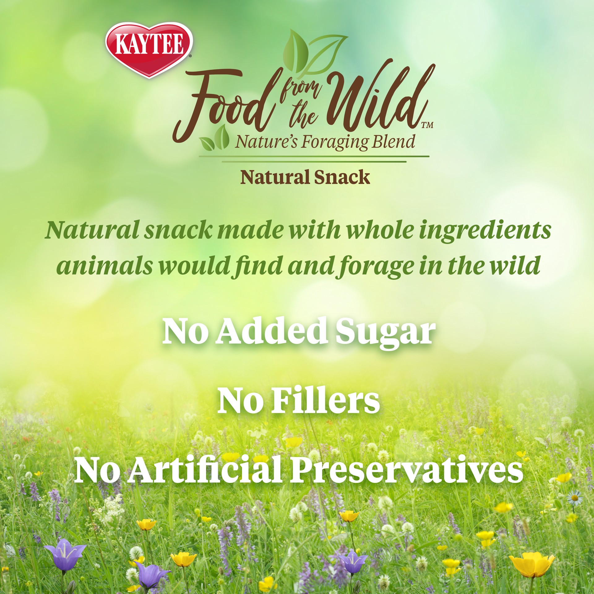 slide 10 of 10, Kaytee Food From the Wild Natural Snack Rabbit and Guinea Pig 1 Ounce, 1 ct