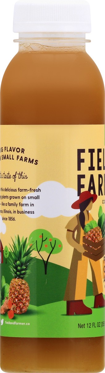 slide 8 of 12, Field & Farmer Field + Farmer Cold-Pressed Pineapple Celery Apple Juice 12 oz, 12 oz