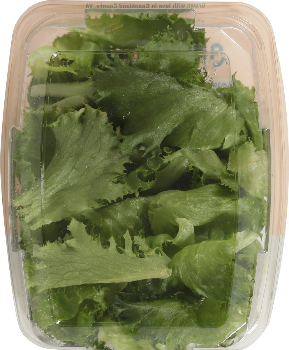 slide 8 of 12, Greenswell Growers Essential Green Leaf 4 oz, 4 oz