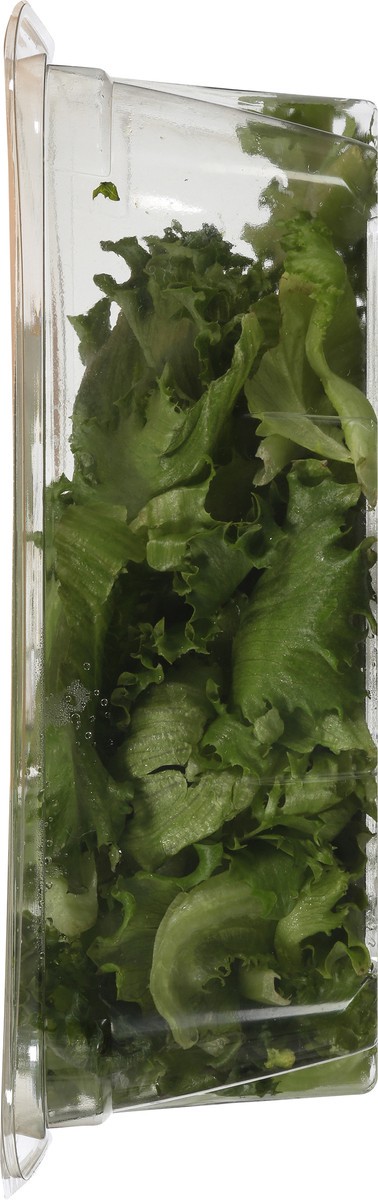 slide 4 of 12, Greenswell Growers Essential Green Leaf 4 oz, 4 oz