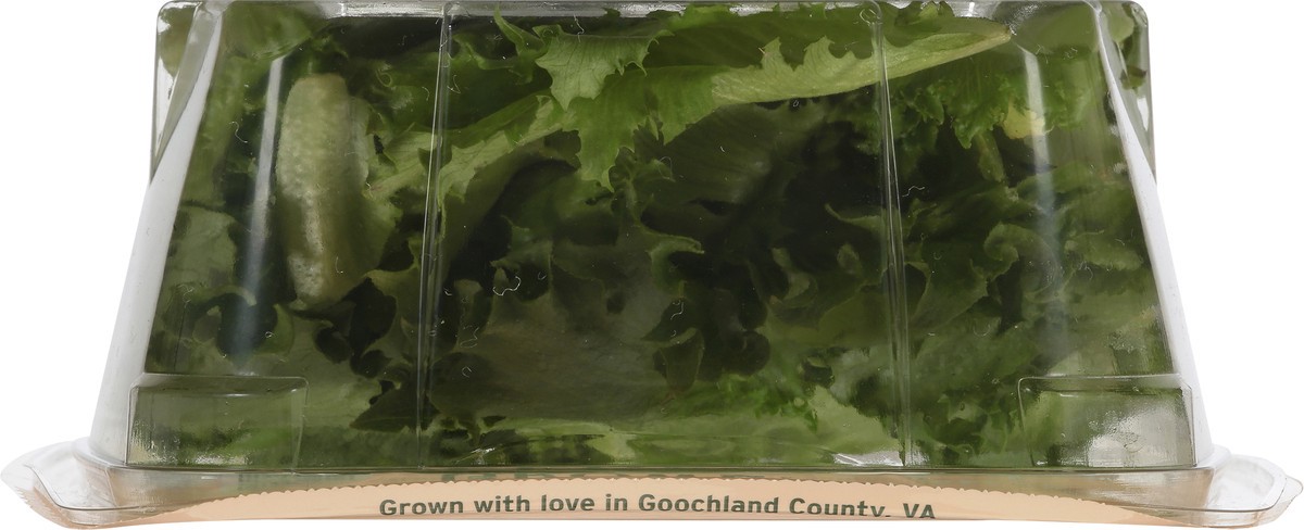 slide 2 of 12, Greenswell Growers Essential Green Leaf 4 oz, 4 oz