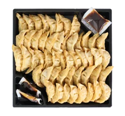 Sushic Potsticker Tray