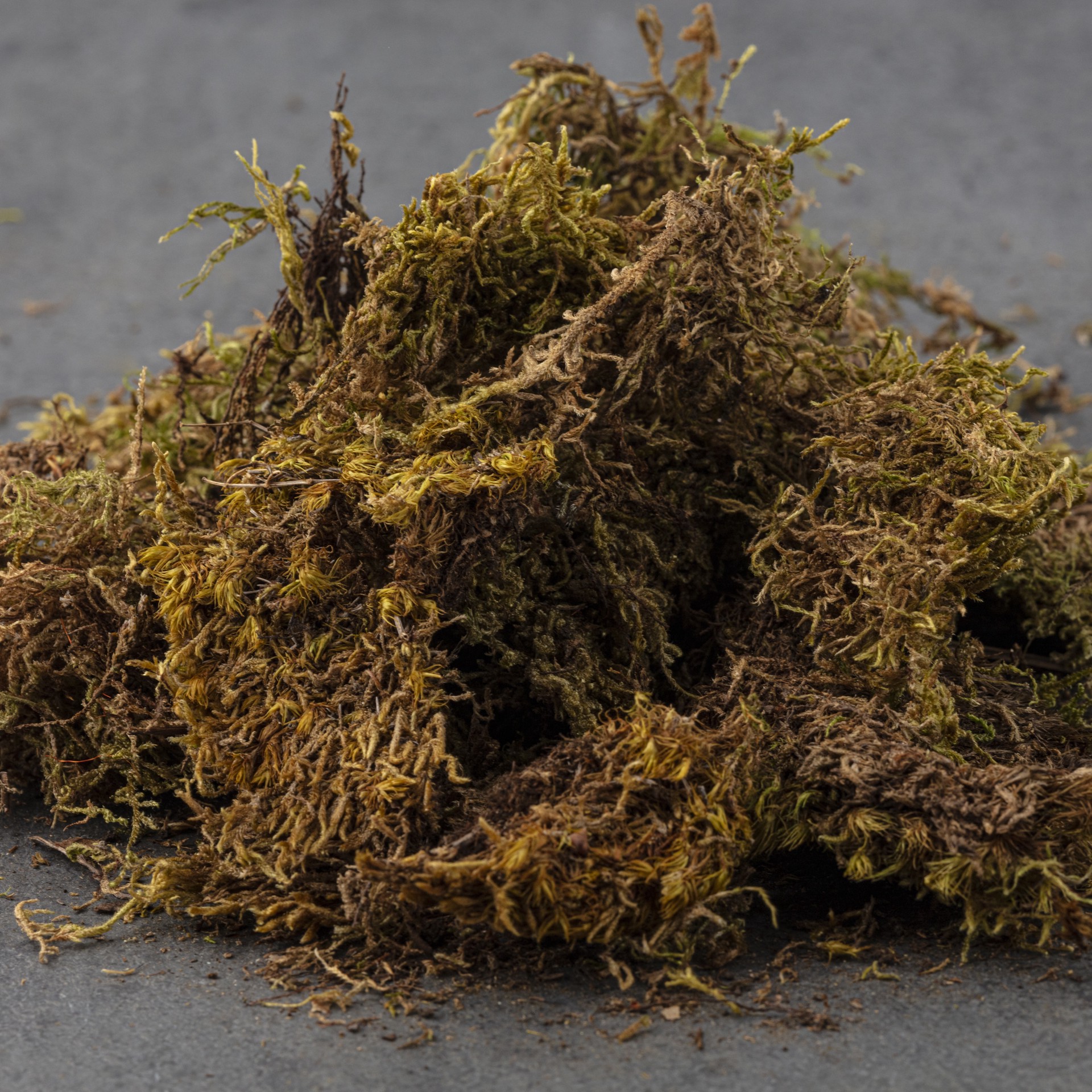 slide 2 of 6, Deco Moss By Ashland, 150 cu in