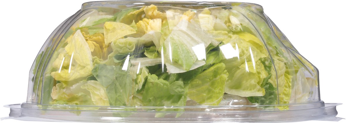 slide 7 of 11, Ready Pac Foods Bistro Chicken Caesar Salad with Creamy Caesar Dressing 12 oz, 11.5 oz