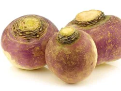 Rutabagas, Each