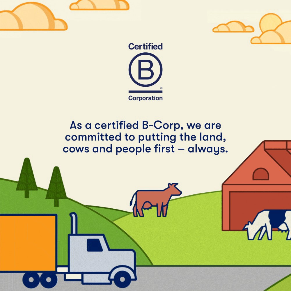 slide 4 of 6, Tillamook Sour Cream 16 oz, 16 oz