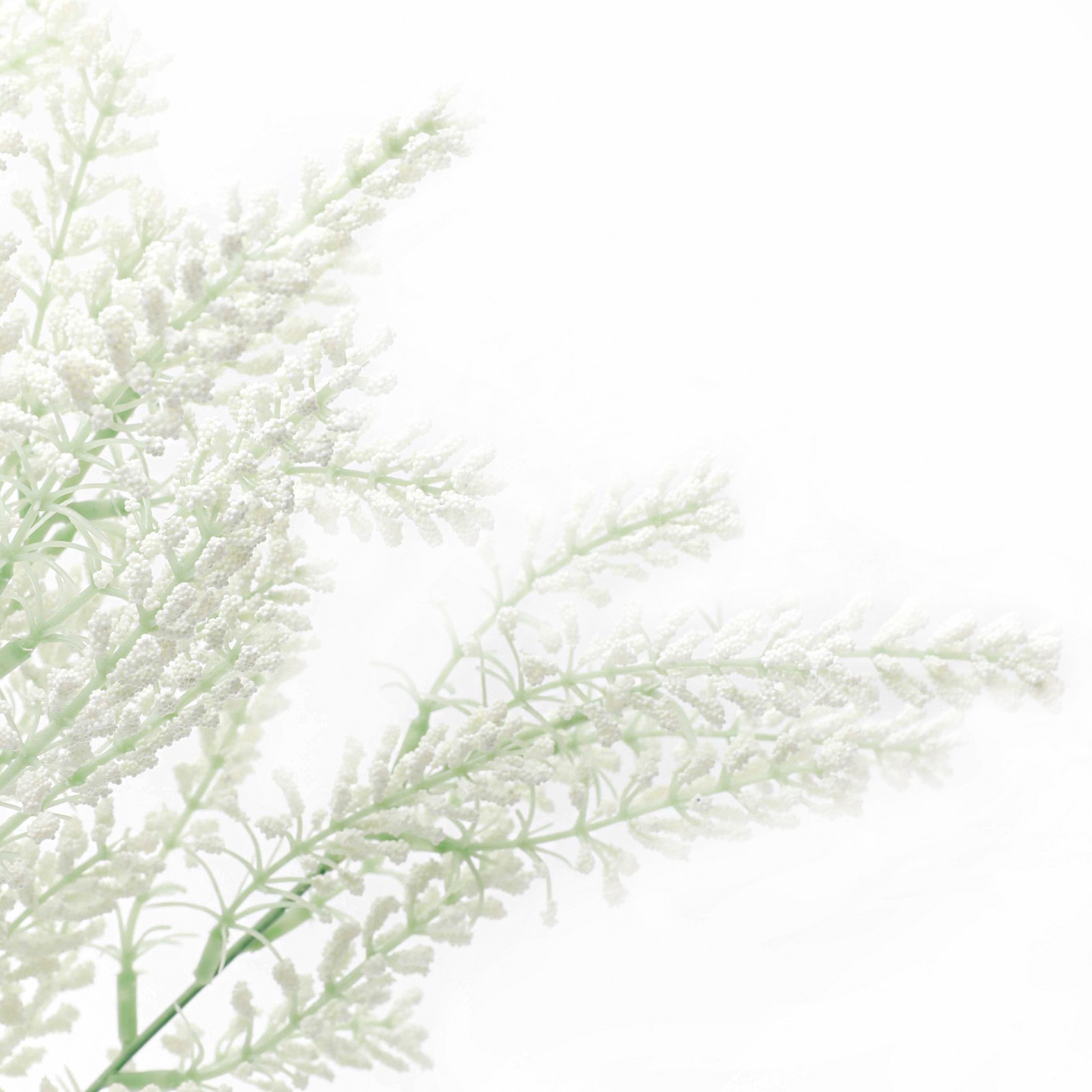 slide 2 of 3, 19.75" Common Heather Deluxe Bush By Ashland, 19.75 in