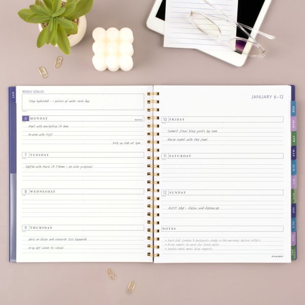 slide 7 of 9, 2025 At-A-Glance Badge Weekly/Monthly Planner, 8-1/2"" X 11"", Blue Geo, January 2025 To January 2026, 1722G-905, 1 ct