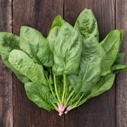 High Mowing Organic Seeds Renegade Spinach Seeds