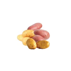 Yukon Gold Potatoes