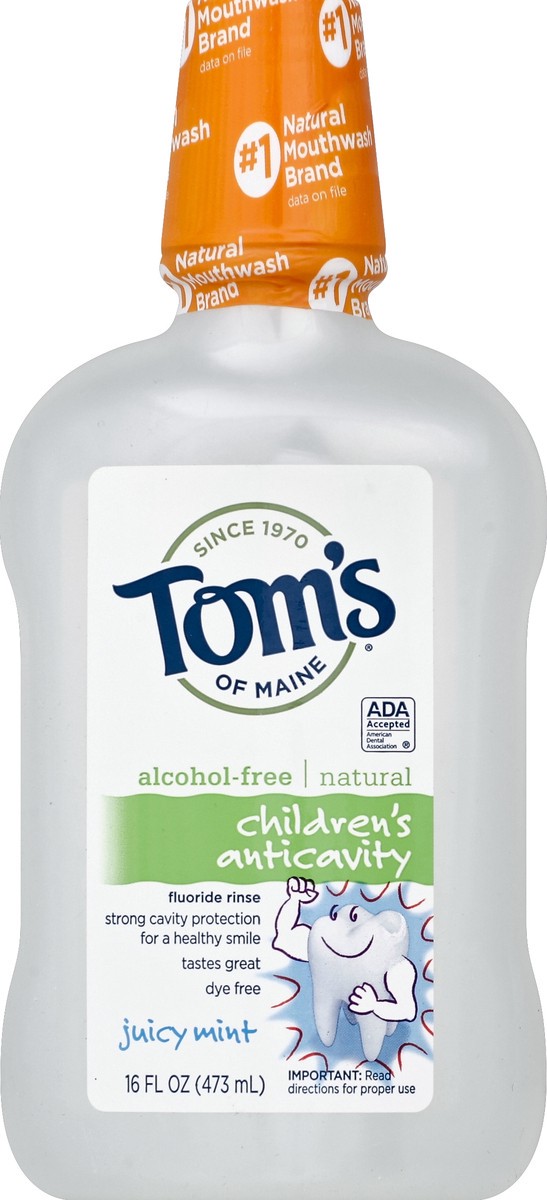 slide 2 of 2, Tom's of Maine Anticavity Mouthwash - Juicy Mint, 16 fl oz