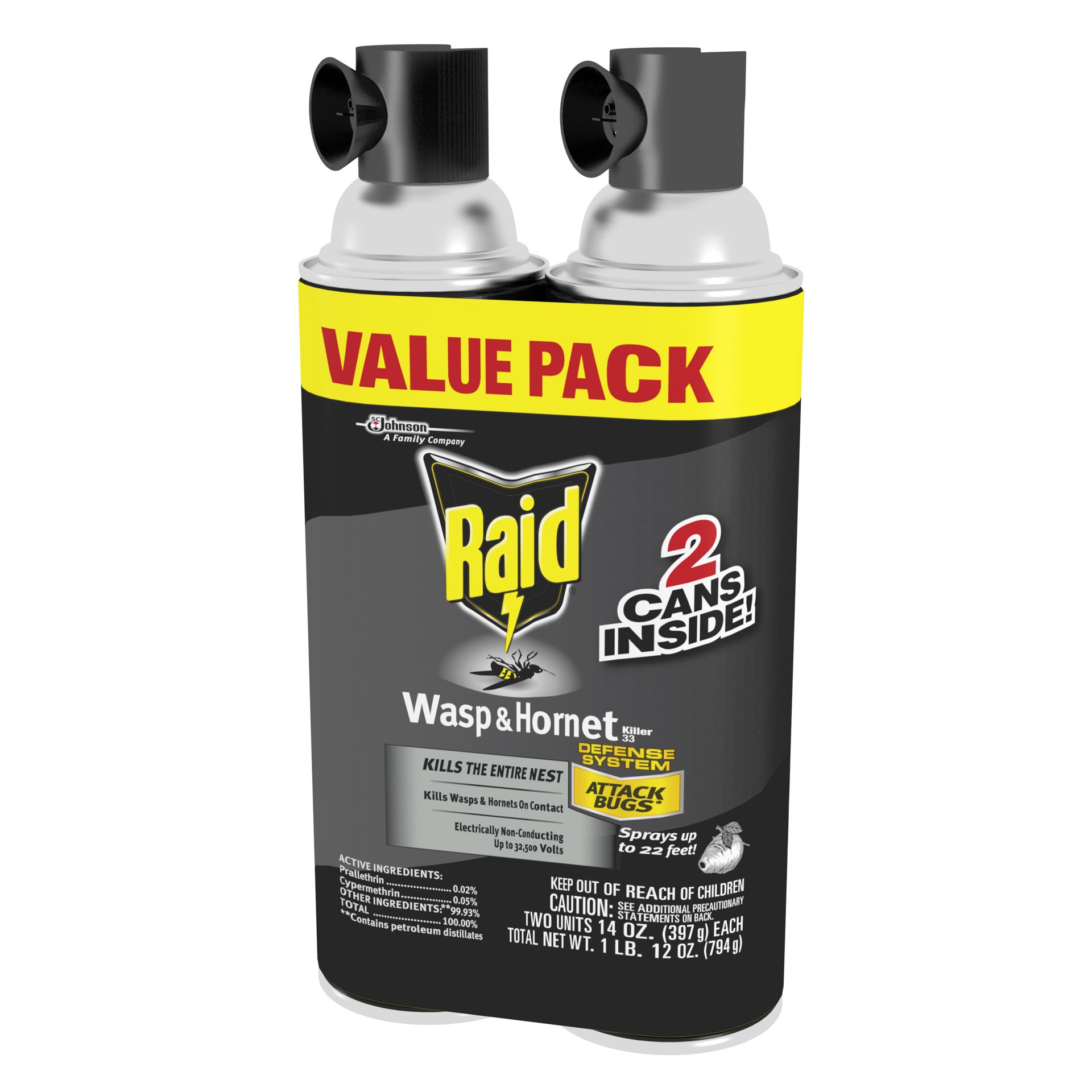 slide 4 of 5, Raid Wasp and Hornet Spray, 17.5 Ounce, 17.5 oz