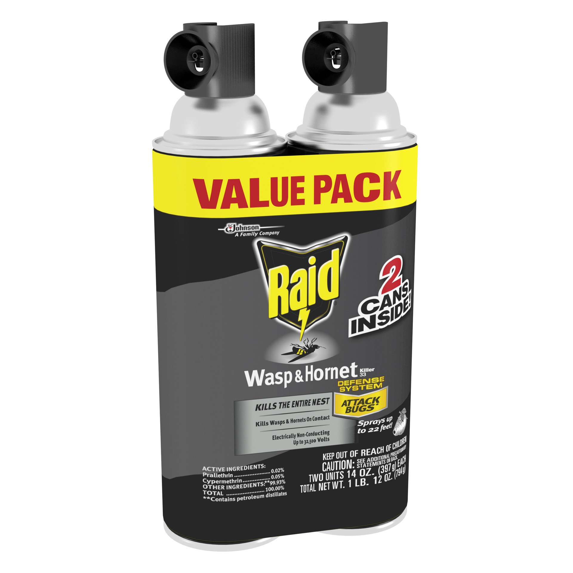 slide 2 of 5, Raid Wasp and Hornet Spray, 17.5 Ounce, 17.5 oz