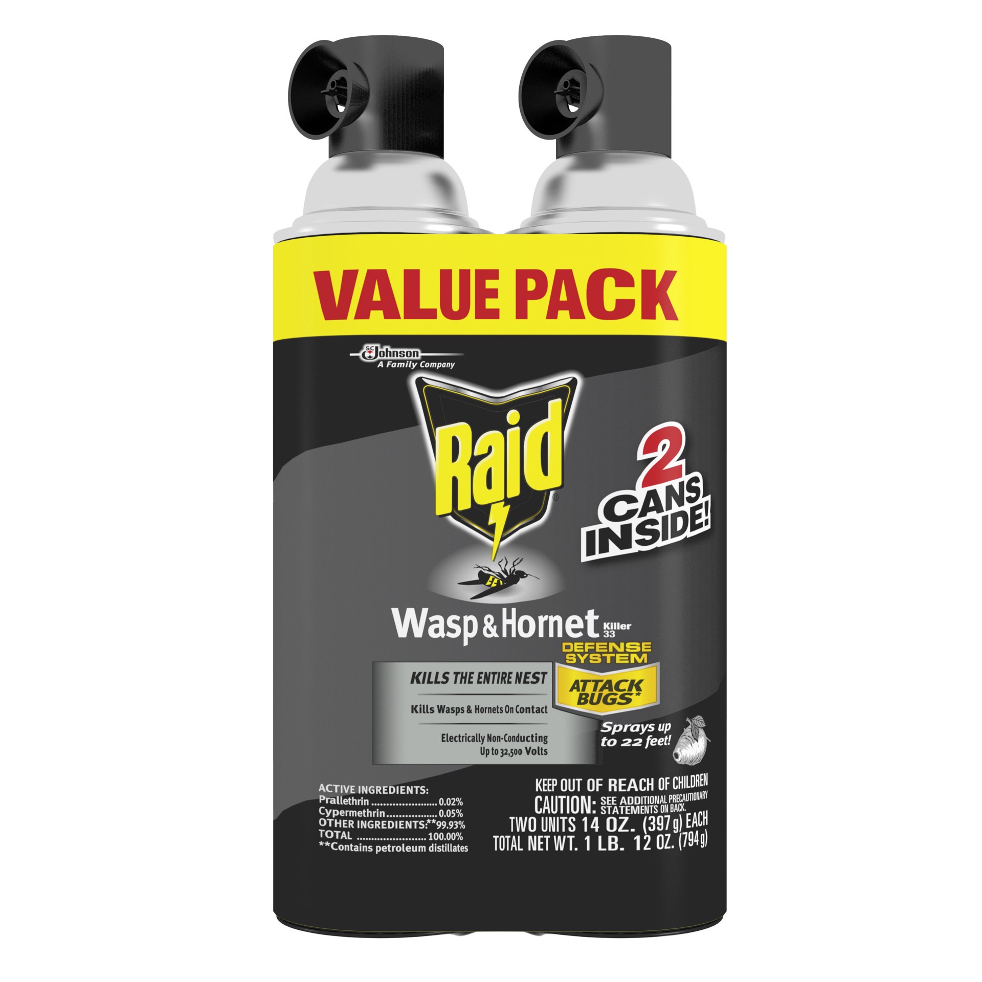 slide 1 of 5, Raid Wasp and Hornet Spray, 17.5 Ounce, 17.5 oz
