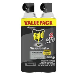 Raid Wasp and Hornet Spray, 17.5 Ounce